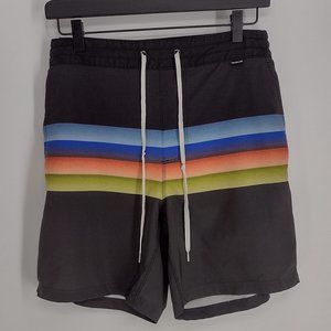 Hurley Phantom Rainbow Striped Blue Red Green & Black Skate Surf Board Shorts